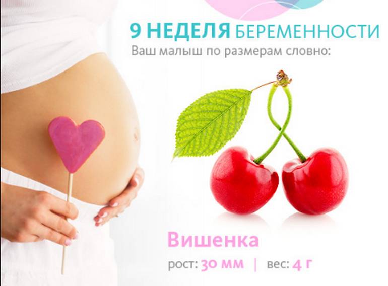 Рост и вес ребенка на девятой неделе беременности