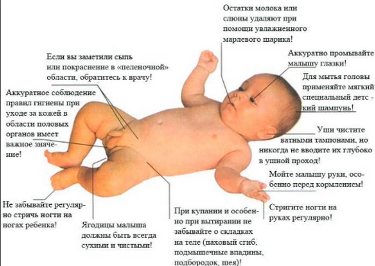 Уход за половыми органами новорожденного